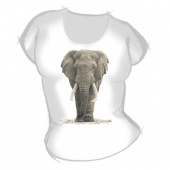 Женская футболка "Слон 1" с принтом на сайте mosmayka.ru