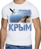 Мужская футболка "Море чайки" с принтом