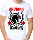 Мужская футболка "Анечкин жеребец" с принтом